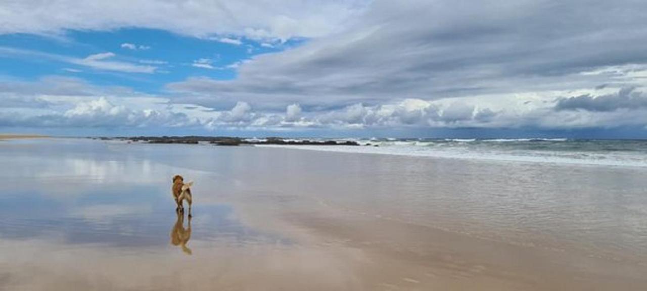 Diamond Beach Resort, Mid North Coast Nsw Экстерьер фото